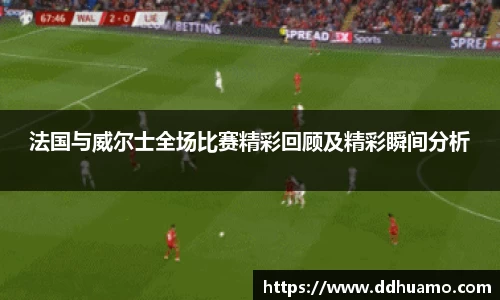 法国与威尔士全场比赛精彩回顾及精彩瞬间分析