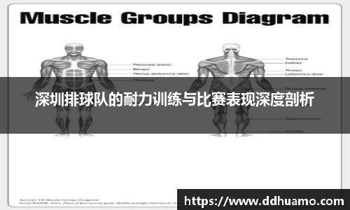 深圳排球队的耐力训练与比赛表现深度剖析